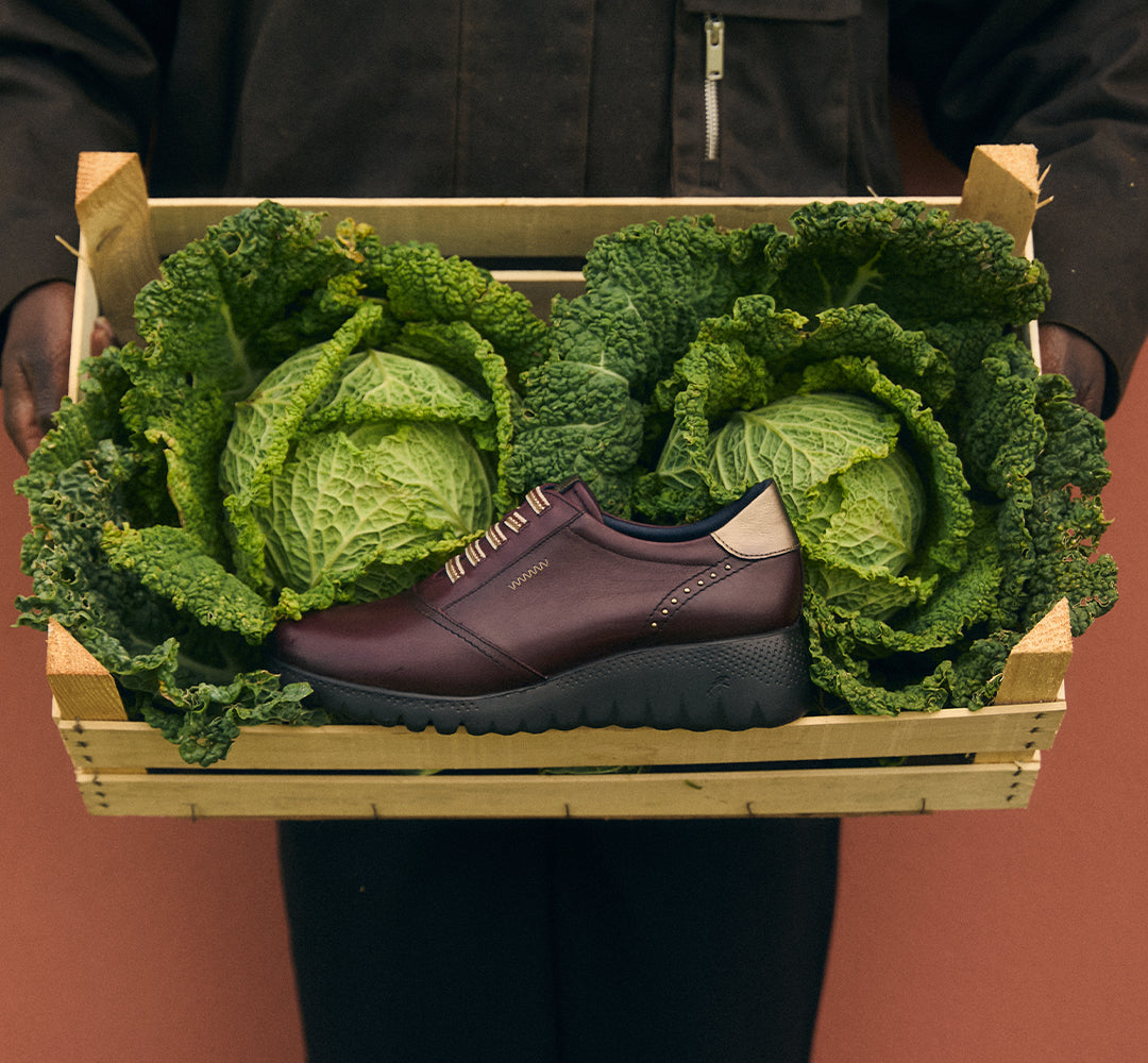 LIVE F2096 Esportes Borgonha