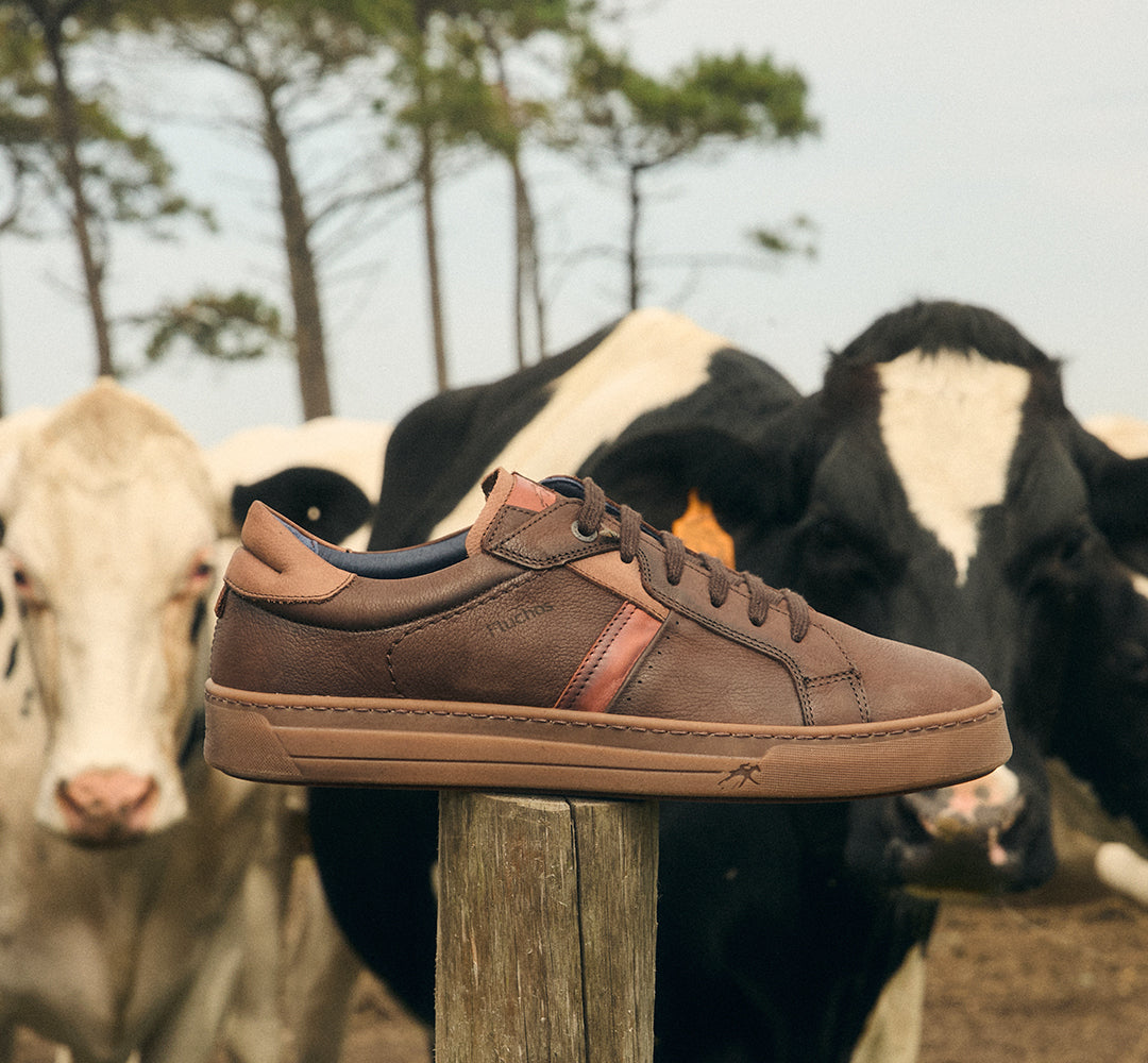 NEMO F2215 Deportivo Marrón