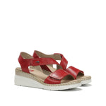 F2137 HABANA CEREZA-1
