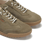 F2383 DELBUCK TORTORA+COM.3-5