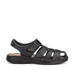 F2198 GAUCHO MARINO-0