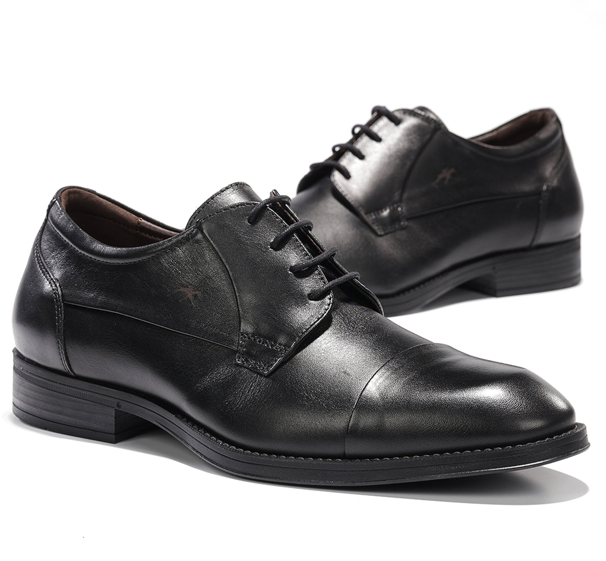 F2486 HABANA NEGRO+COM.2-6