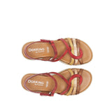 D9113-PL PLACA CARMIN C-4 CARMIN C-4-4