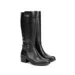 F2316 SUGAR TEX NEGRO-1