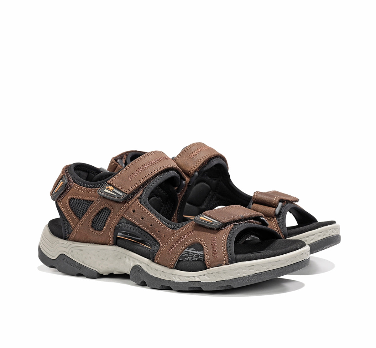 F2410 VEGABUCK CAFE-1