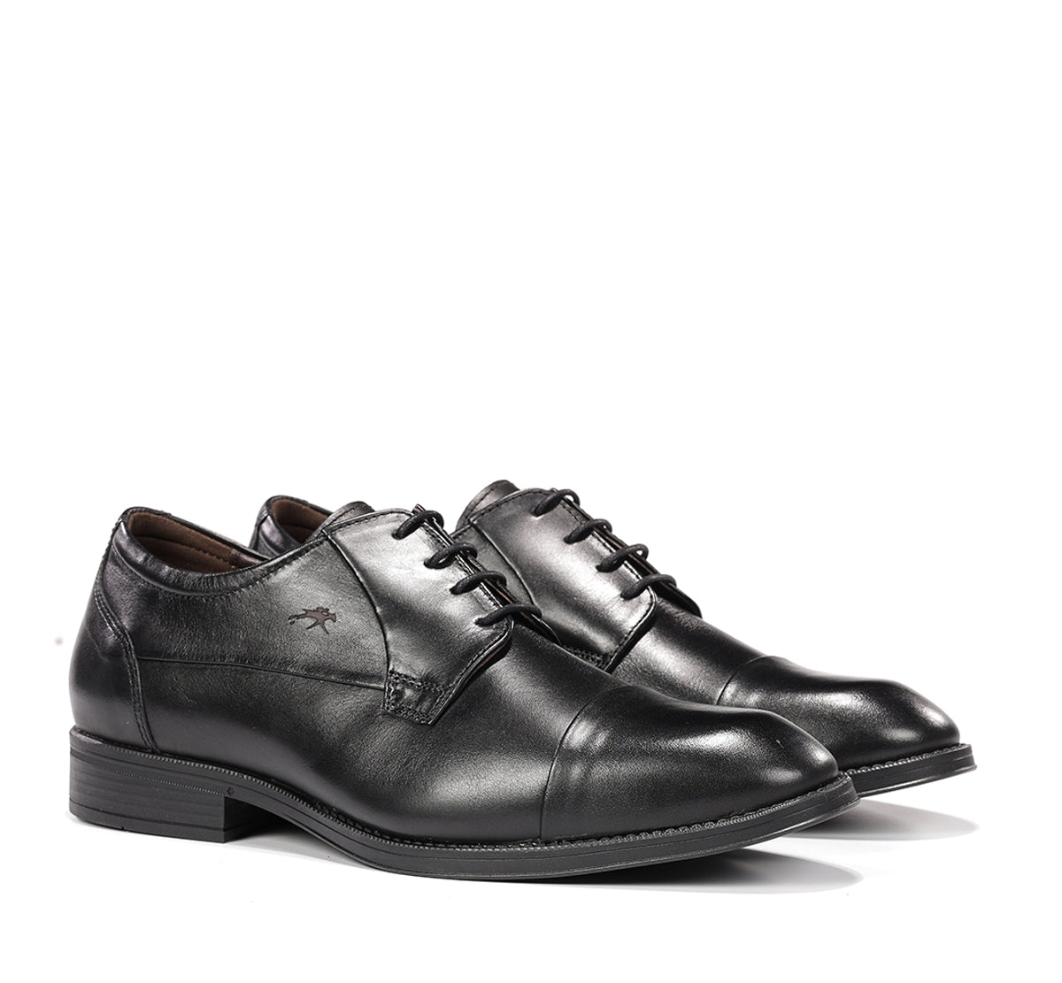 F2486W HABANA NEGRO+COM.2-1