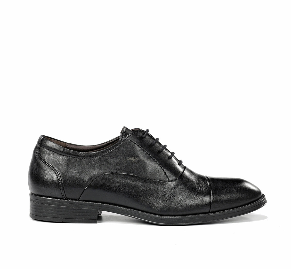 F2487 HABANA NEGRO+COM.2-0