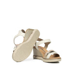 F2390 SUGAR HIELO+COM.3-3