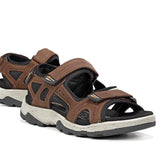 F2410 VEGABUCK CAFE-6