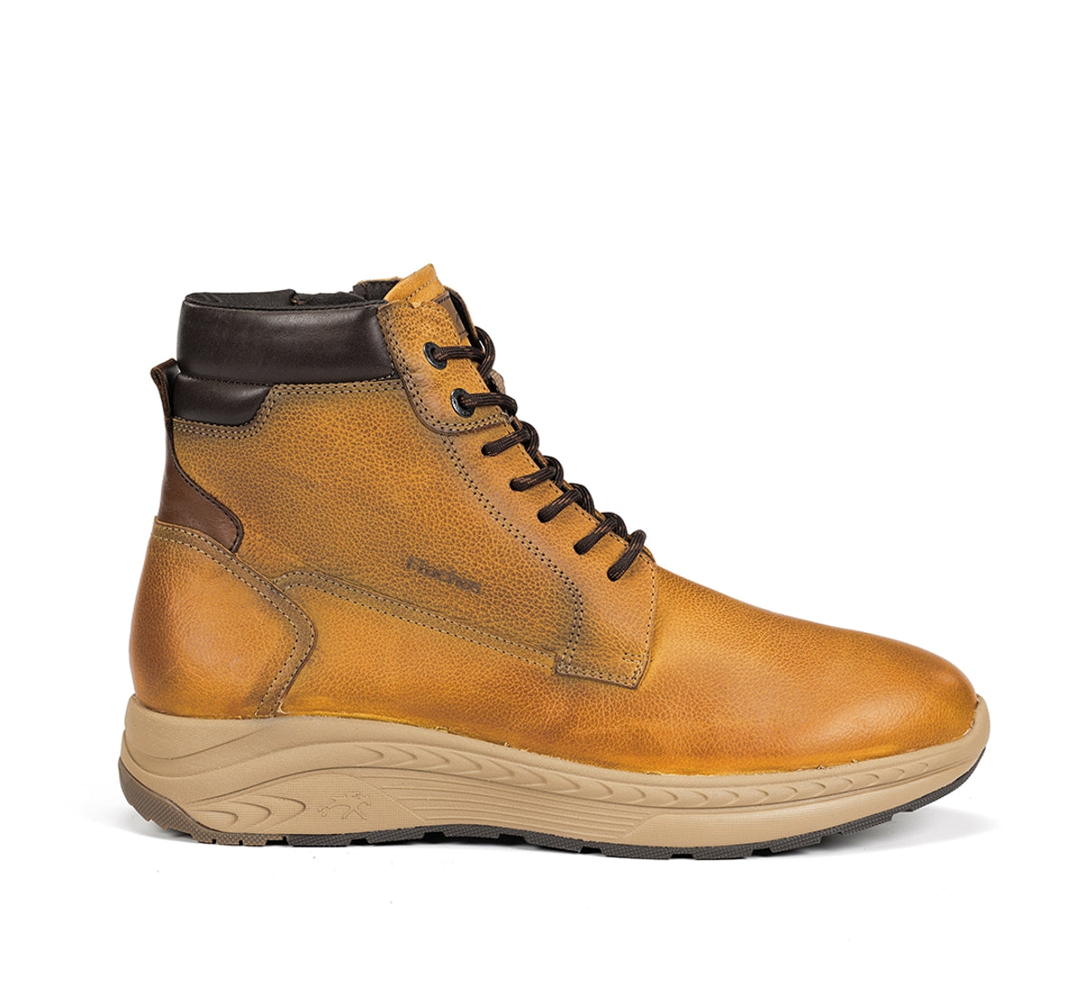 F2292 VEGABUCK TIMBER+COM.5-0