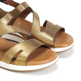 D9688-CS COSMOS BRONCE-5