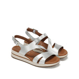D9688-CS COSMOS SILVER-3
