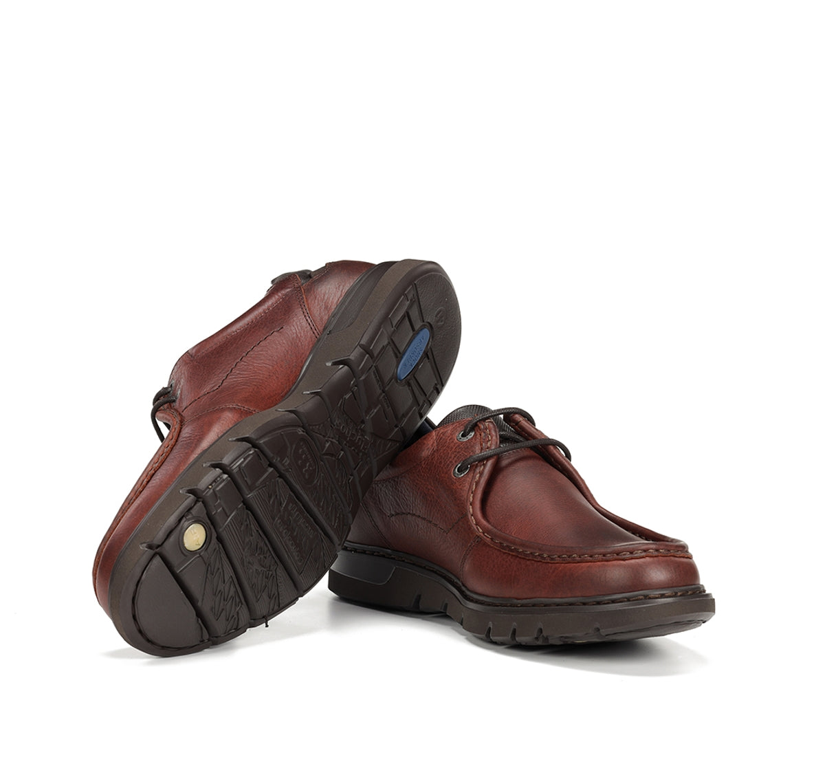 9595 GRASS LIBANO+COM.2-3