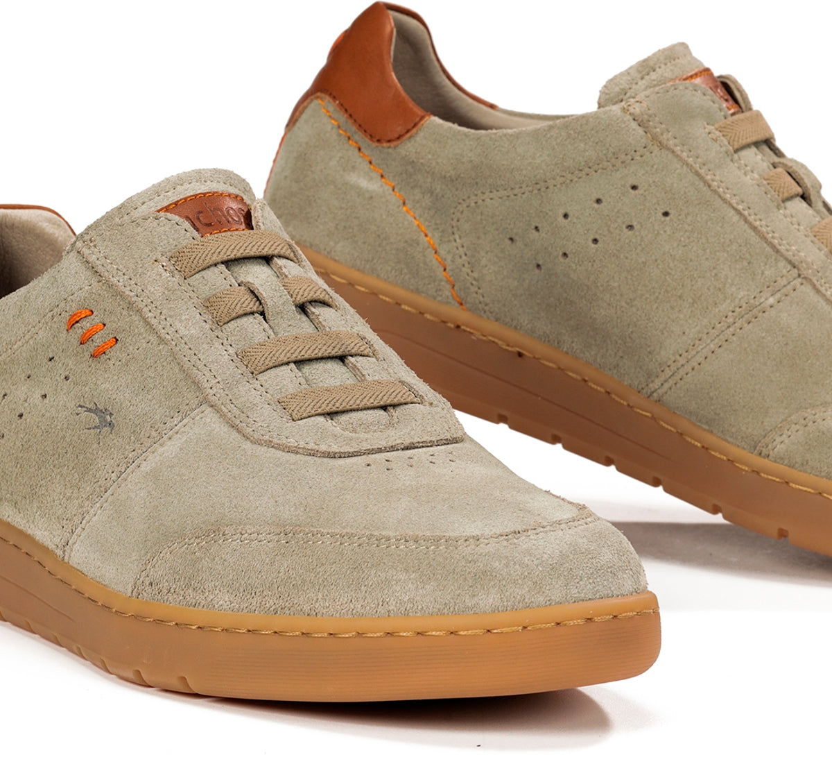 F1723 VITELLINI TORTORA+COM.6-6