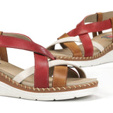 F2135 HABANA CEREZA+COM.1-6