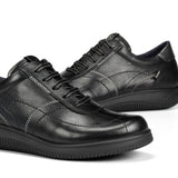 F2331 SUGAR NEGRO+COM.2-5