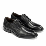 F2488 HABANA NEGRO+COM.2-3