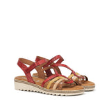 D9113-PL PLACA CARMIN C-4 CARMIN C-4-1