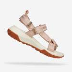 AT187 INFINITY LIGHT ROSE-8