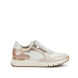D9308NCSCO NACARADO BONE C1 BONE C-1-0