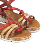 D9113-PL PLACA CARMIN C-4 CARMIN C-4-5