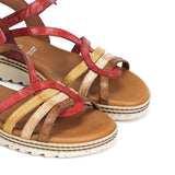 D9113-PL PLACA CARMIN C-4 CARMIN C-4-5