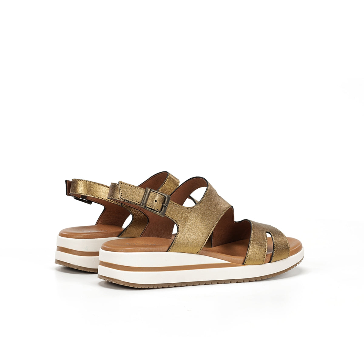 D9688-CS COSMOS BRONCE-2