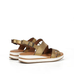 D9688-CS COSMOS BRONCE-2