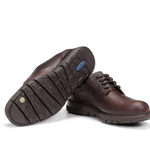 F0247 GRASS LIBANO+COM.2-3