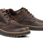 F2536 VEGABUCK CAFE+COM.1-6