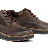 F2536 VEGABUCK CAFE+COM.1-6