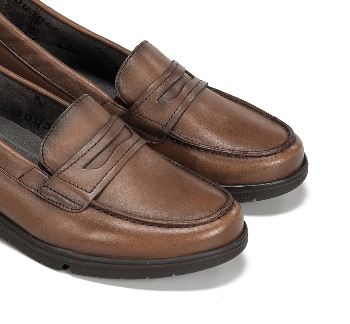 F1835 SUGAR MARMOTA-5