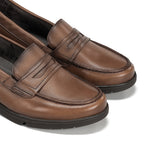 F1835 SUGAR MARMOTA-5