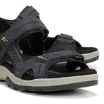 F2411 VEGABUCK  AZUL-6