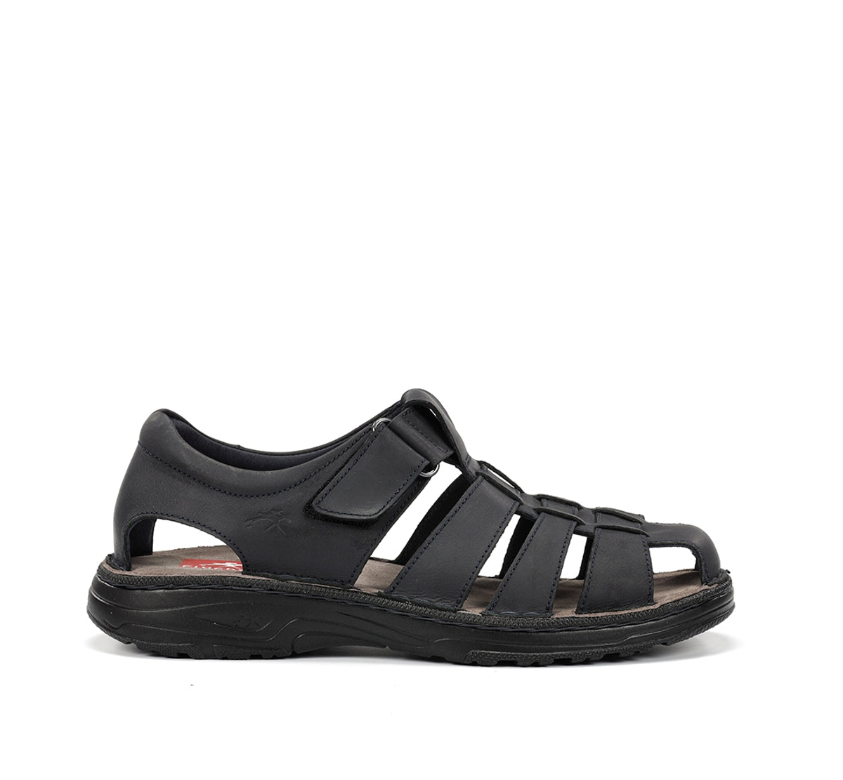 F2199 GAUCHO MARINO-0