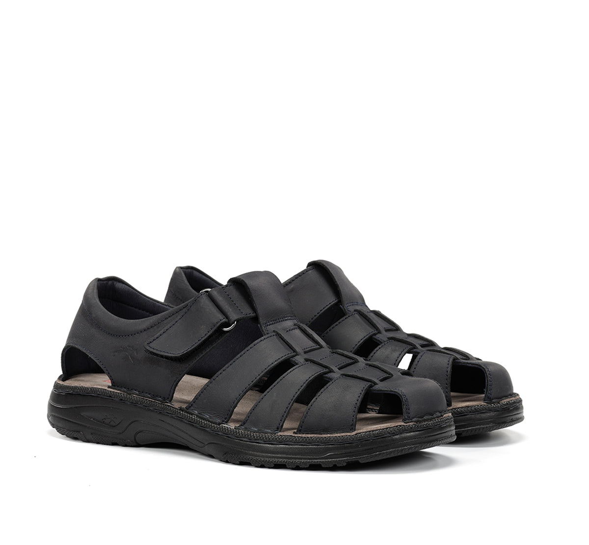 F2199 GAUCHO MARINO-1