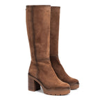 D9559-CA CALF COLTON-1