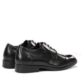 F2486W HABANA NEGRO+COM.2-2