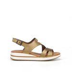 D9688-CS COSMOS BRONCE-0