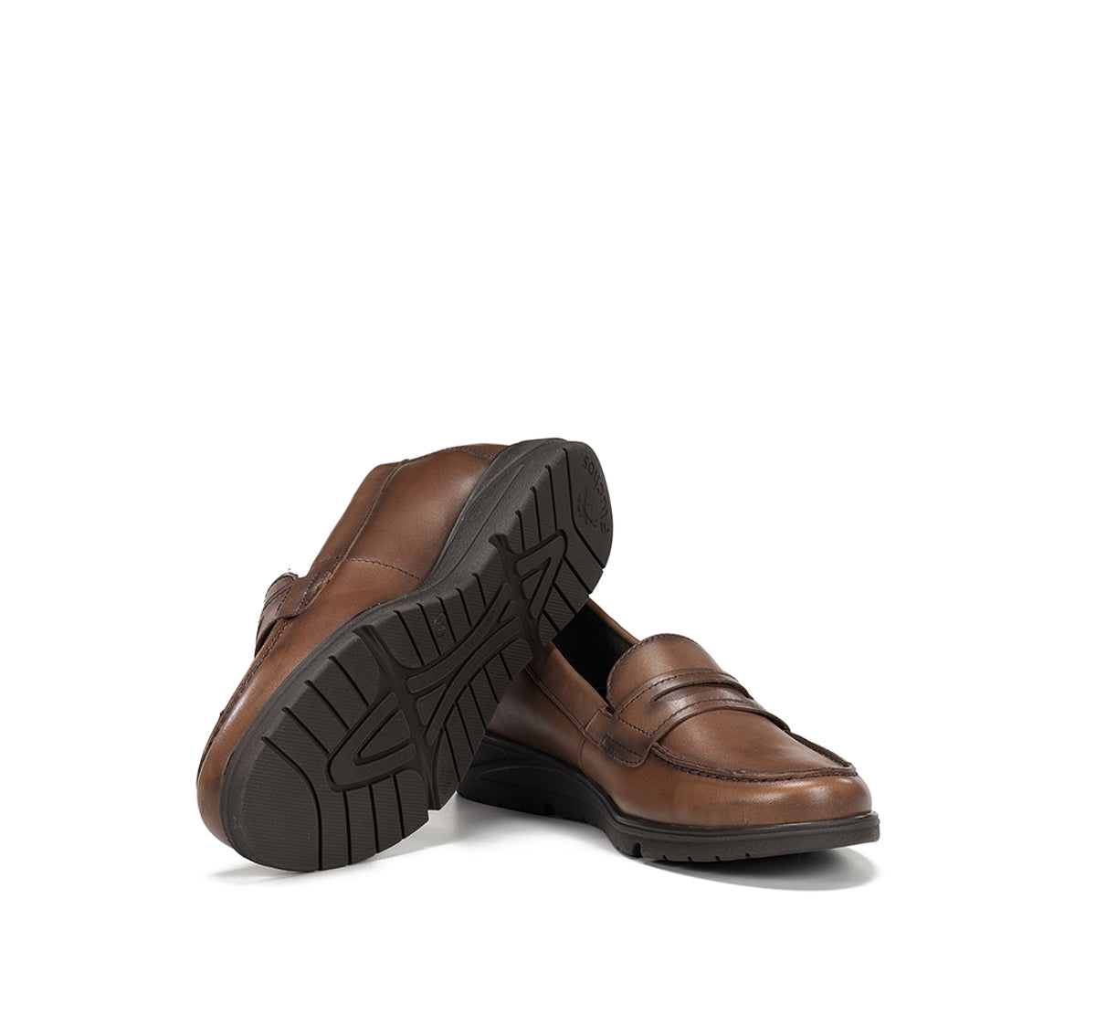 F1835 SUGAR MARMOTA-3