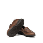 F1835 SUGAR MARMOTA-3