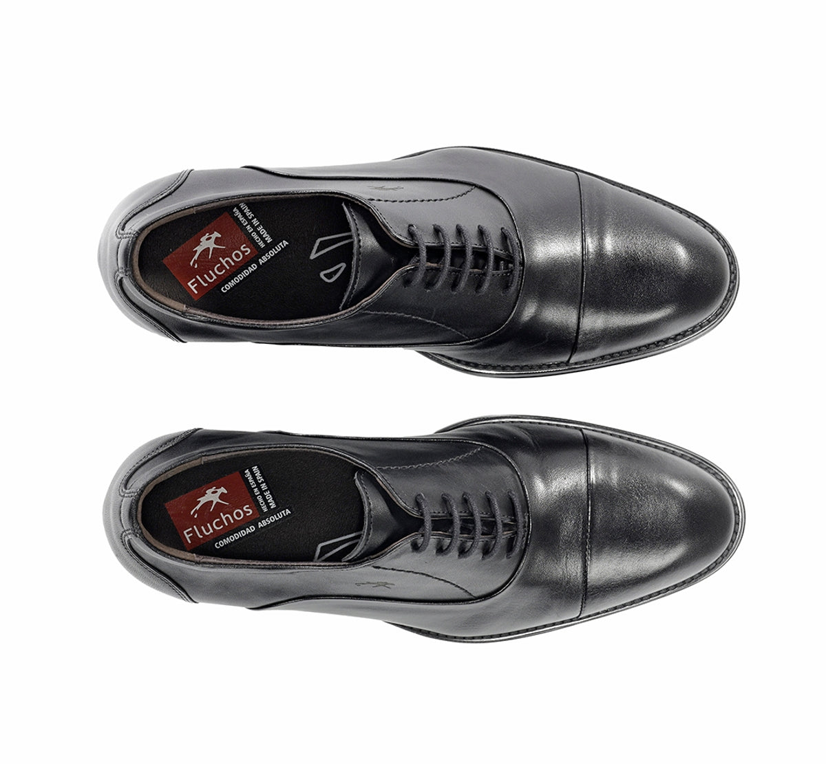 F2487 HABANA NEGRO+COM.2-4