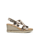 F1974 LAMINADO CAVA-0