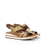 D9688-CS COSMOS BRONCE-1