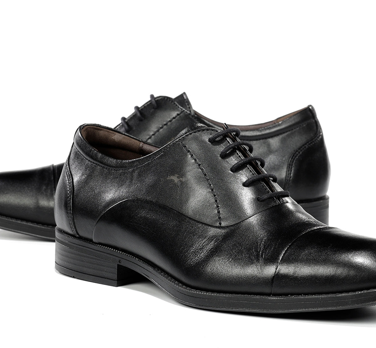 F2487 HABANA NEGRO+COM.2-6